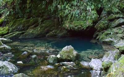 Te Puna Wai o Riuwaka Resurgence Walk