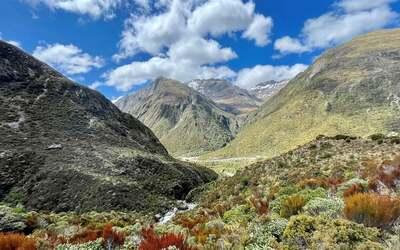 Otira Valley Track