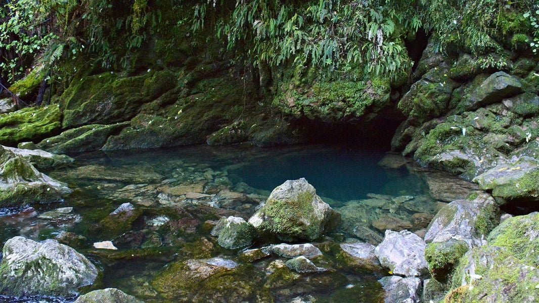 Te Puna Wai o Riuwaka Resurgence Walk