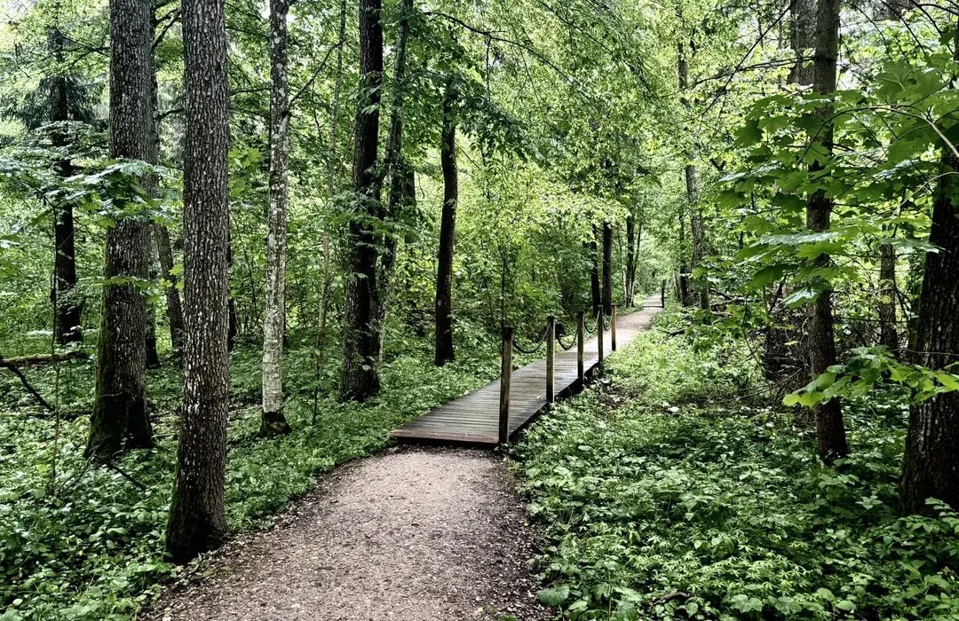 Żebra Żubra Nature Trail