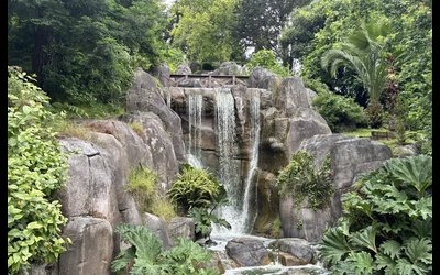 Blue Heron Lake and Strawberry Hill Loop