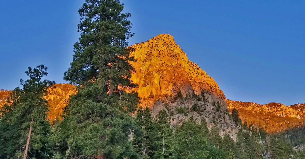 Cathedral Rock Trail