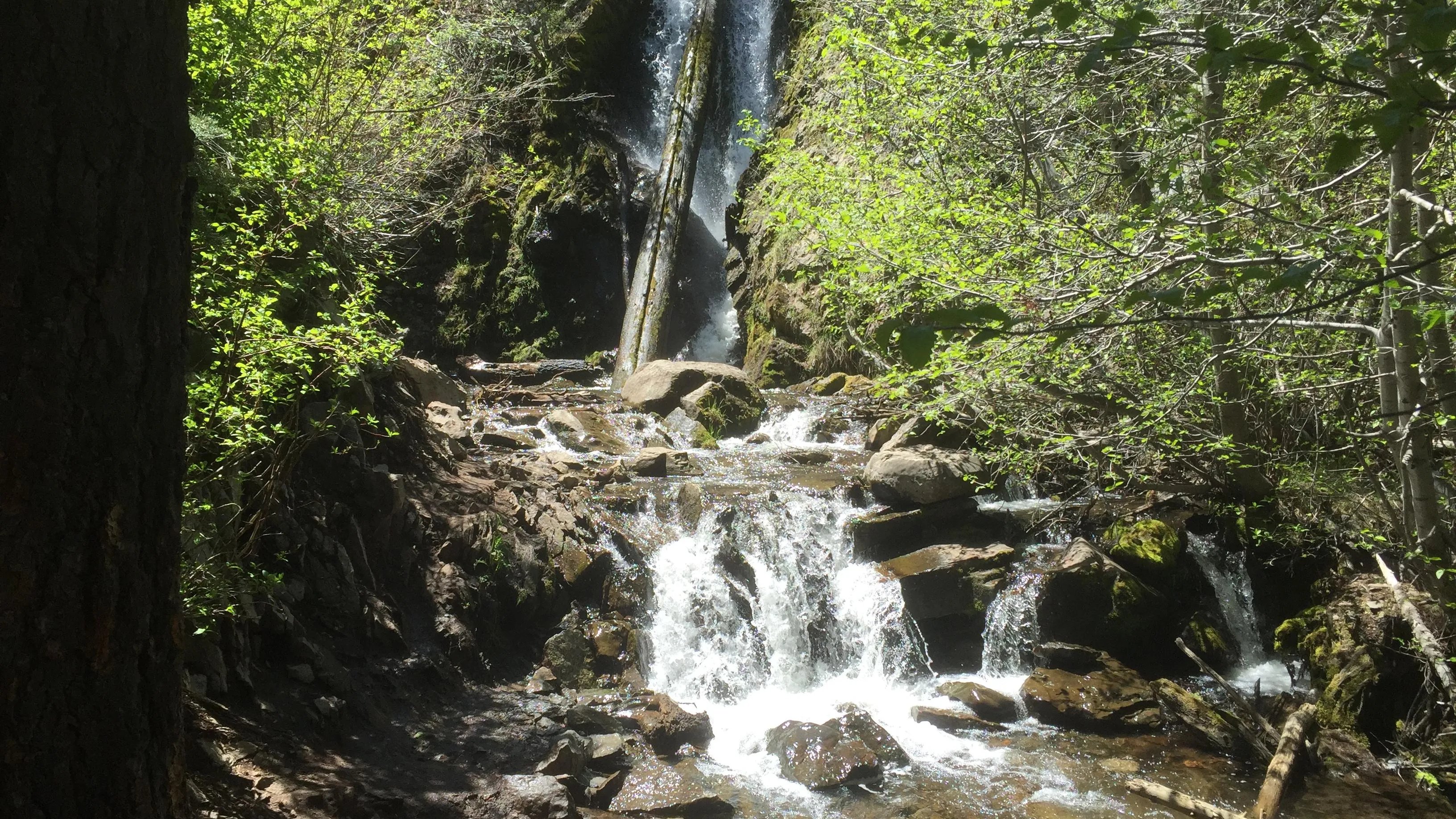 Hunter Creek Trail