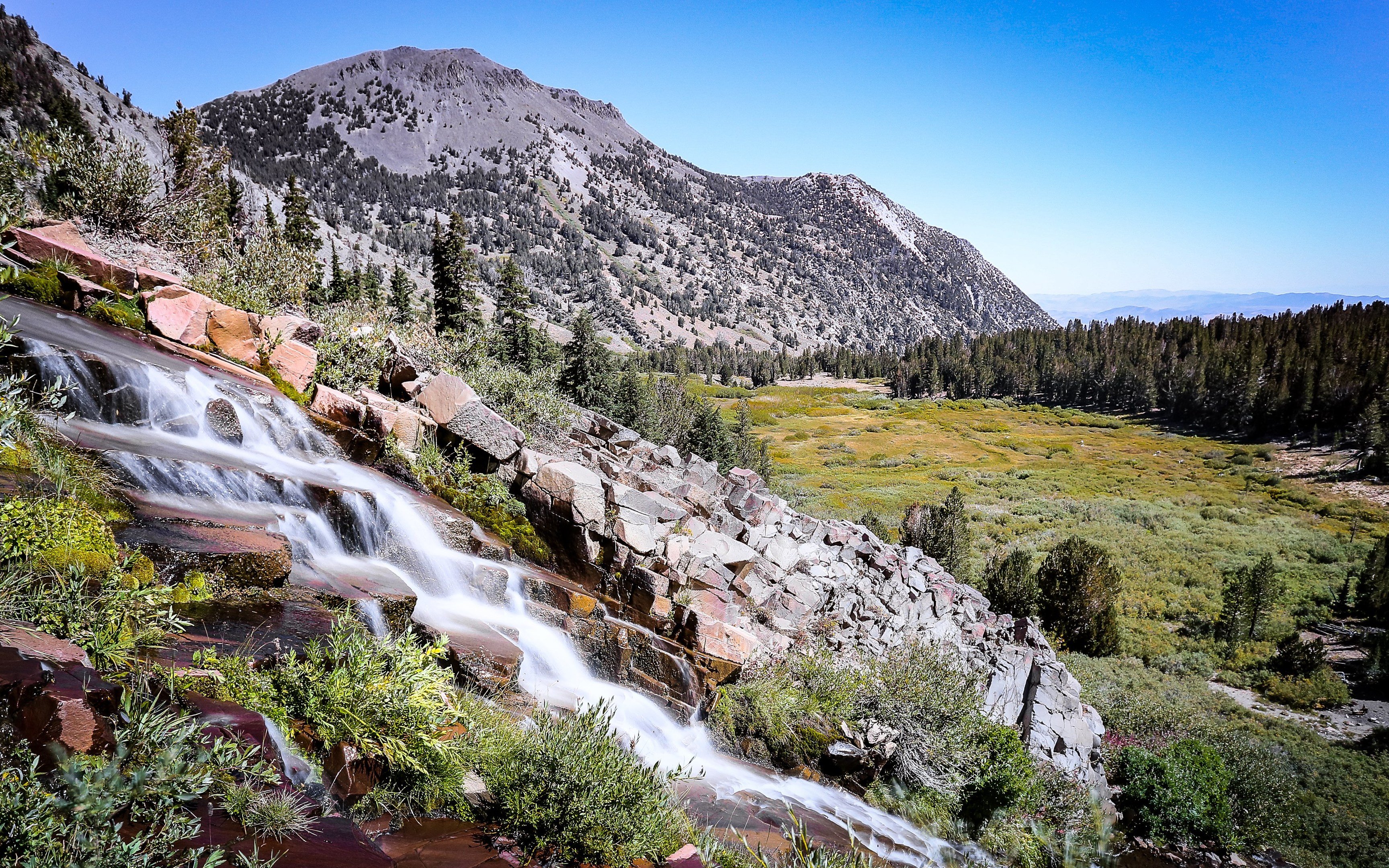 Mount Rose Peak Trail