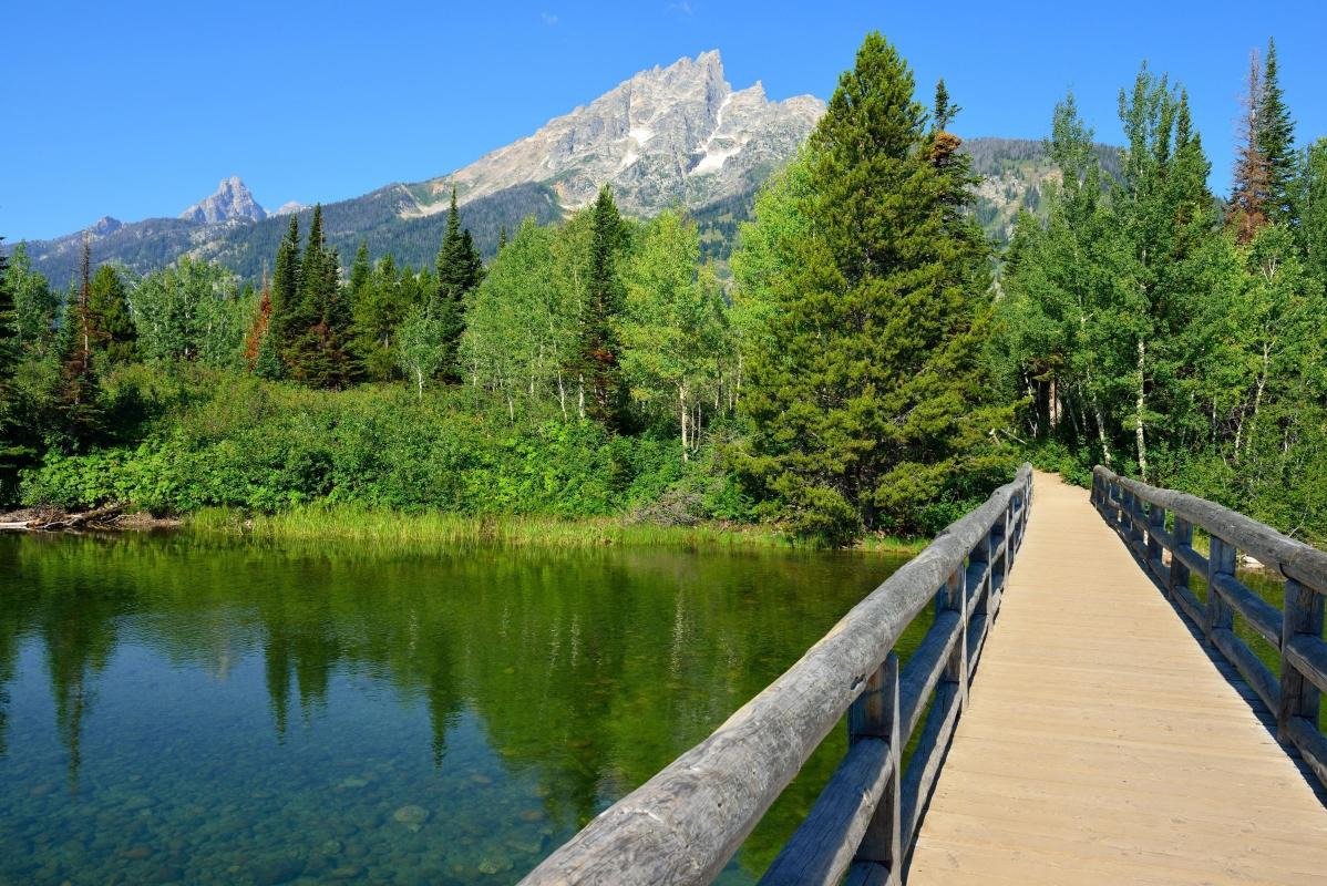 Jenny Lake Loop Trail