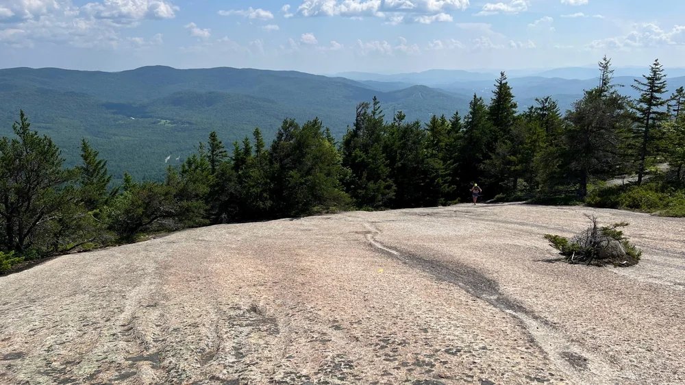 Welch–Dickey Loop