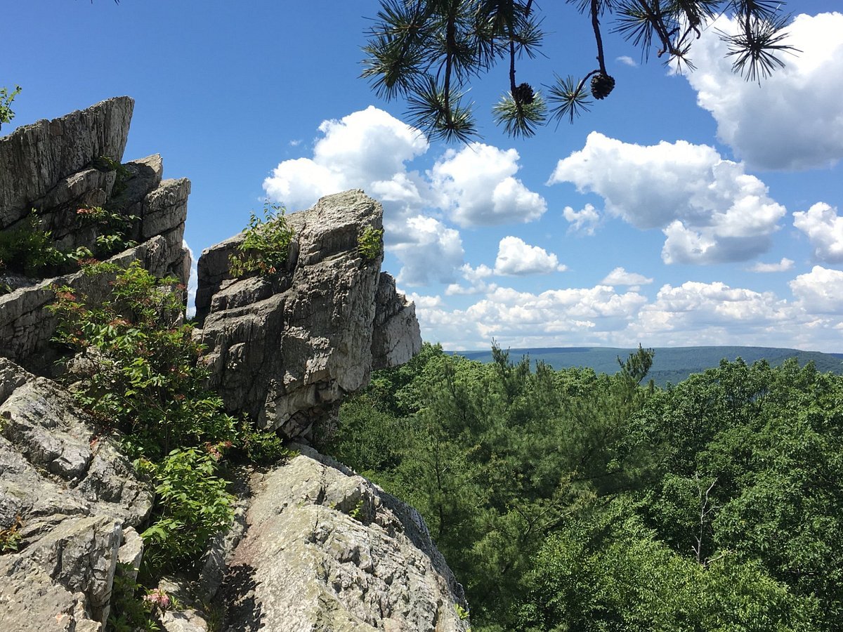 Pine Grove Trail